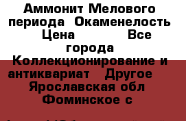 Аммонит Мелового периода. Окаменелость. › Цена ­ 2 800 - Все города Коллекционирование и антиквариат » Другое   . Ярославская обл.,Фоминское с.